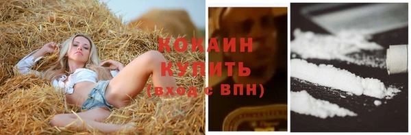 амф Новозыбков