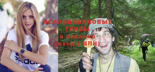 винт Новокубанск