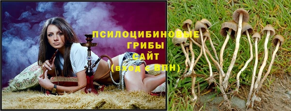 ALPHA-PVP Новодвинск