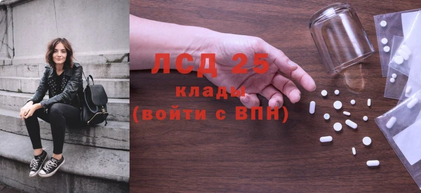амф Новозыбков