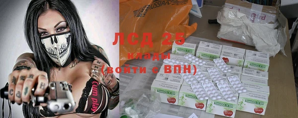 амф Новозыбков