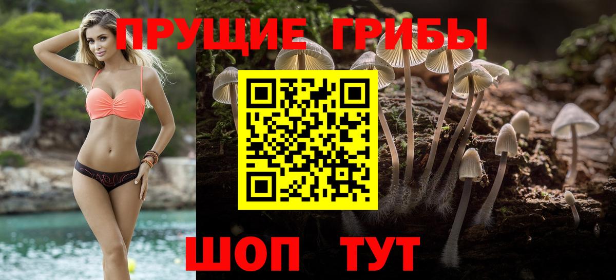 Псилоцибиновые грибы GOLDEN TEACHER  Псилоцибиновые грибы Psilocybe  Вход с VPN  сколько стоит  Томск 