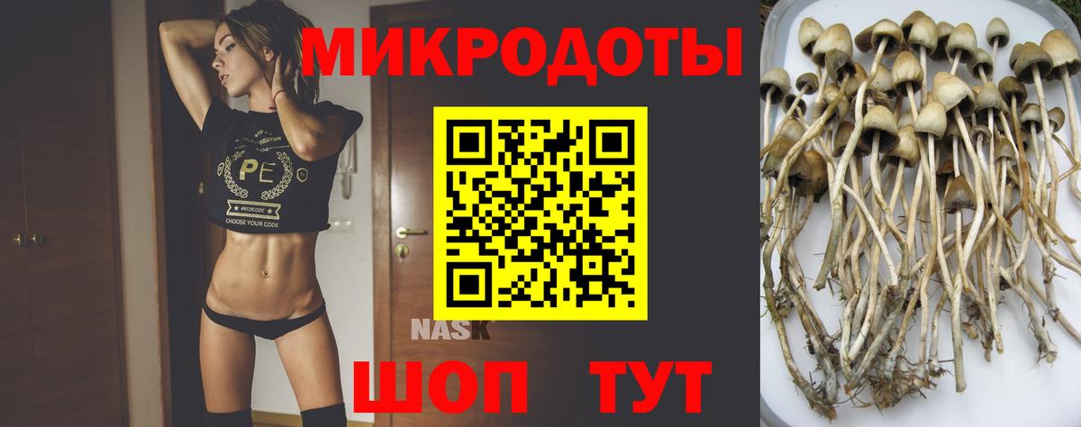 Галлюциногенные грибы мухоморы Томск